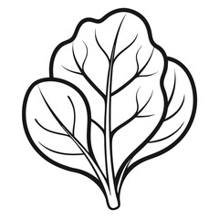 Spinach Coloring Book Page Line Art Drawing