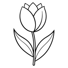 Tulip Flower Coloring Book Page Line Art Drawing