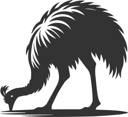 Emu bird vector silhouette