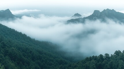 Misty Mountain Range View