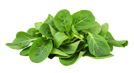 Isolated Fresh Lamb's Lettuce on White Background