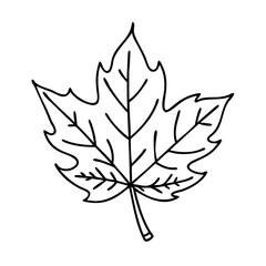 autumn leaf icon, autumn leaf vector illustration-simple illustration of autumn leaf, perfect for autumn leaf logos and icons
