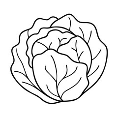 cabbage icon, cabbage vector illustration-simple illustration of cabbage, perfect for cabbage logos and icons