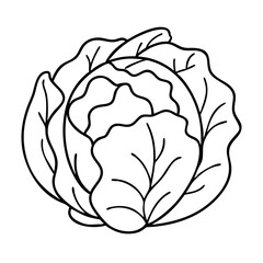 cabbage icon, cabbage vector illustration-simple illustration of cabbage, perfect for cabbage logos and icons