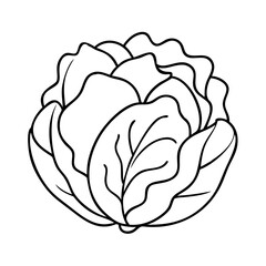 cabbage icon, cabbage vector illustration-simple illustration of cabbage, perfect for cabbage logos and icons