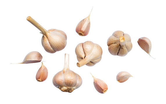 falling garlic on white background isolated