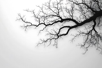 Fototapeta premium Winter Branch Silhouette Stark Beauty Against a Cloudy Sky.