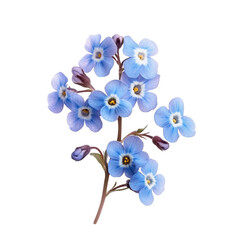 Floral Serenity: Delicately capturing a close-up of charming forget-me-not blooms, the composition draws viewers into a serene scene of delicate petals and natural beauty.