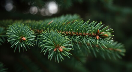 Emerald Embrace AI Generated