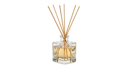 Isolated Scent Diffuser with Sticks