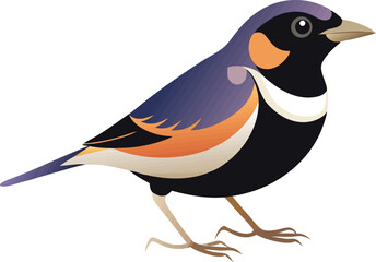 Obraz premium Beautiful lark bunting vector illustration