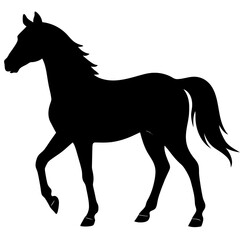 horse silhouette vector illustration