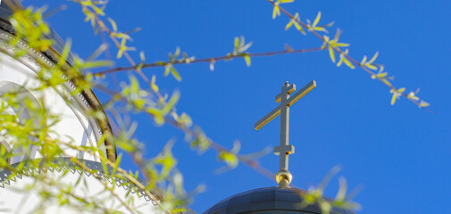 Green willow branches with a view of the church In early spring, through the green willow branches in the park, a church with an Orthodox cross is visible. The concept of Orthodoxy. © Stepanych