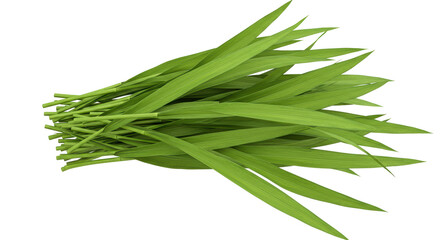 Isolated Bunch of Grass