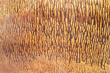 abstract brown and yellow water drop pattern,Antique style seamless background pattern