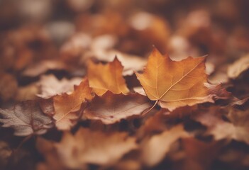 leaves toned background tile fall autumn leaf september yellow november blue nature october decorative mood wallpaper closeup vein gold colours fading vertical