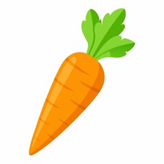 Carrot isolated on white background