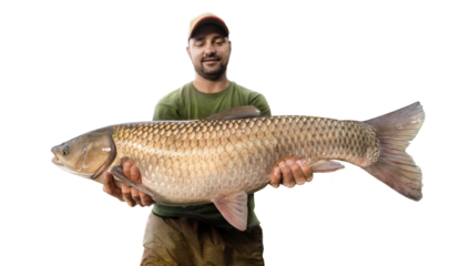 Fishing background. Young man hold big carp in his hands.
