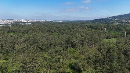 Aerial view of a vast forest landscape with dense vegetation, showcasing natural preservation, biodiversity, environmental balance and untouched green scenery