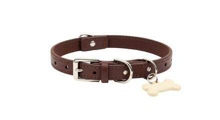 Isolated Brown Leather Dog Collar with Bone Tag