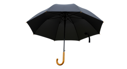 Isolated Black Umbrella with Wooden Handle