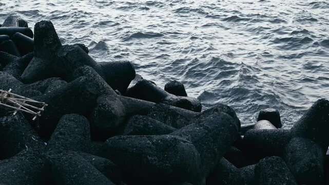 Black Tetrapods, known as dolos rocks, are strategically placed at the sea beach to effectively halt the raging waves.