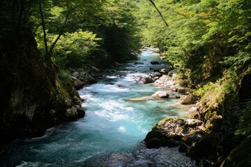 Obraz premium River flows through a lush green forest, clear and blue