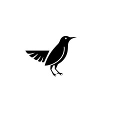 Fototapeta premium vector illustration of a bird