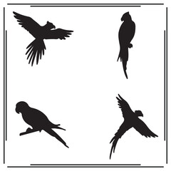  Parrot silhouette, Parrot illustration ,Parrot clipart, Parrot vector ,Parrot icon , black Parrot, Parrot illustration on white background,