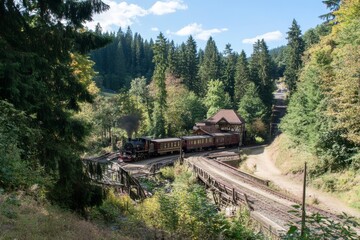 Obraz premium Steam train crosses wooden bridge in lush green forest landscape