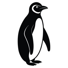 Obraz premium penguin vector illustration