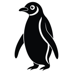 penguin vector illustration