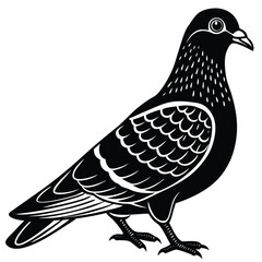 dove on white background vector illustration