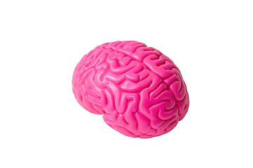 Pink Plastic Brain on a White Background, On Transparent Background