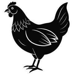 hen and chicken vector illustration