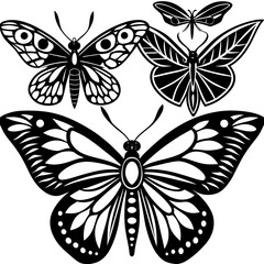 Flying butterflies silhouette black set isolated on white background. Set of butterfly in flight silhouettes. Set of butterflies. Butterfly silhouette icons set. Butterfly tattoo silhouettes.