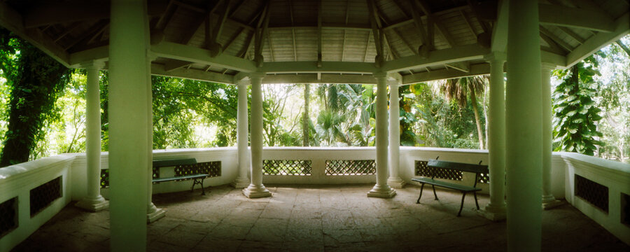 Canopy in the botanical garden, Jardim Botanico, Zona Sul, Rio de Janeiro, Brazil.
