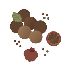  Authentic Allspice Herb Illustration