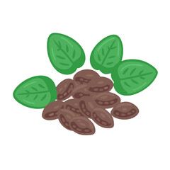  Charming Basil Seeds Representation