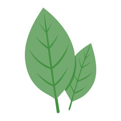 Charming Bay Leaf Illustration for Cooking