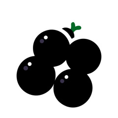  Stylish Black Currant Graphic for Desserts
