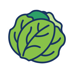  Stylish Cabbage Representation for Salads