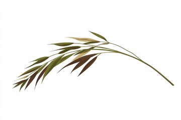 Illustration of Branch with Green Leaves on White Background Isolated