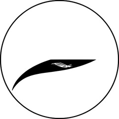 Artistic emblem with flowing lines 