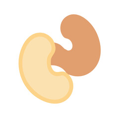  Charming Cashew Graphic for Marketing