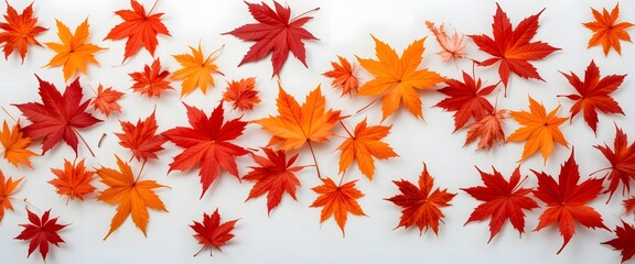 Autumn Maple Leaves, Red And Orange, Dancing On White. Fall Season Beauty, A Gentle Breeze, Capturing Seasonal Change. Nature's Grace, A Striking Contrast.