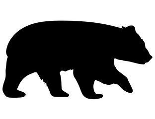 silhouette of a bear
