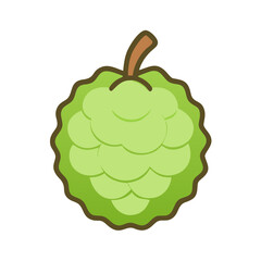  Custard Apple Icon for Tropical Fruits