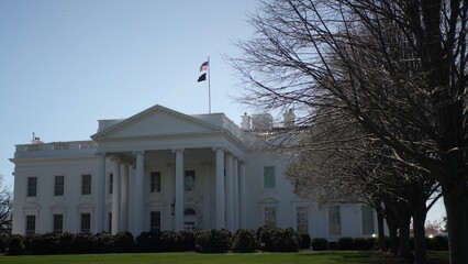 Obraz premium The White House stands prominently against a clear blue sky with bare trees showing early signs of spring in Washington DC. The federal government building exudes power.
