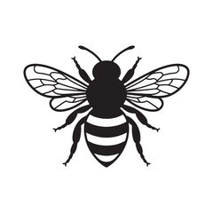 bee vector illustration eps 10